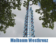 der Maibaum am Westkreuz wurde am 30.04.2014 aufgestellt (©Foto: Martin Schmtz)